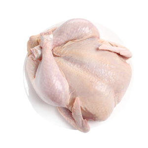 Poulet pondeuse
