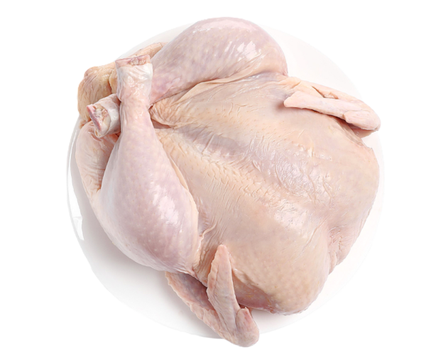 Poulet pondeuse